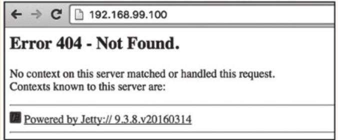 ../_images/docker_jetty02.png